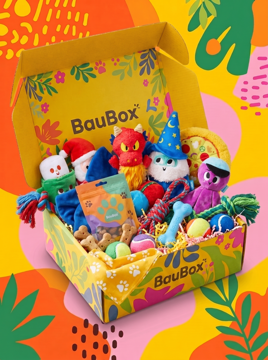 BauBox – кутия за вашия любимец